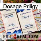 Priligy Dosage kamagra1